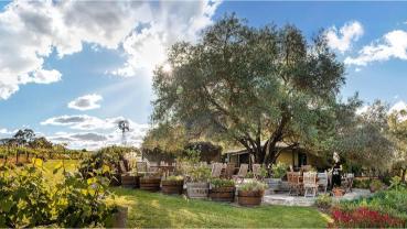 Skillogalee wedding venue, Skilly Valley (near Sevenhill)